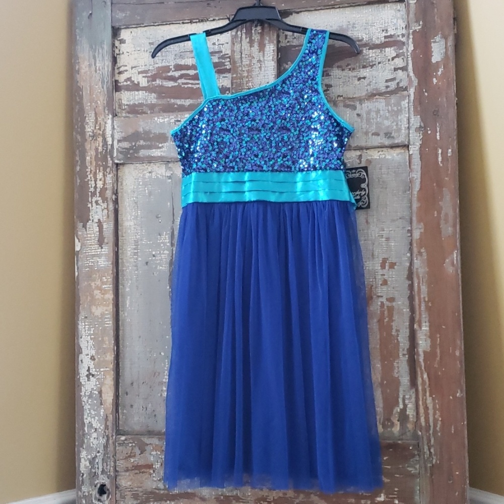 Girls Beautiful Blue Tulle Dress